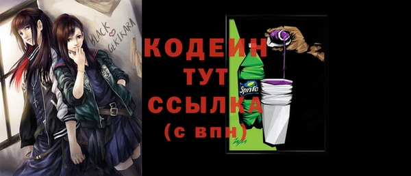 хмурый Бронницы