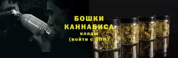 хмурый Бронницы