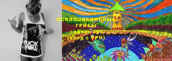 гашишное масло Богородицк
