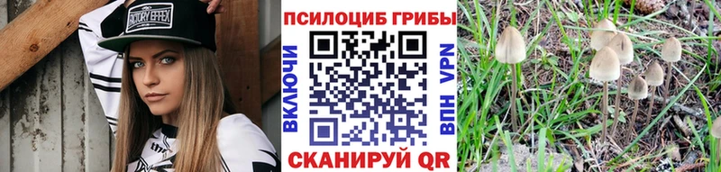 магазин продажи наркотиков  Кирсанов  Псилоцибиновые грибы GOLDEN TEACHER 